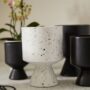 DeVil Pot – White – 6.5″
